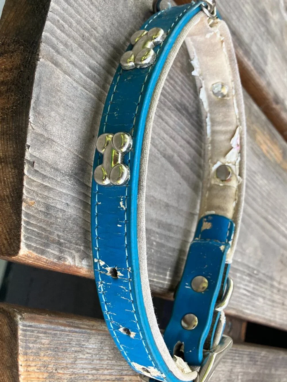 🐶💙 Blue Leather Studded Dog Collar | Silver Bone Studs | Thick Padded Collar |